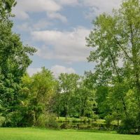 Catskill Pond ico