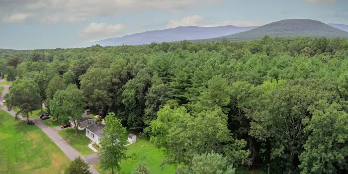 Catskill Pond Picture 6