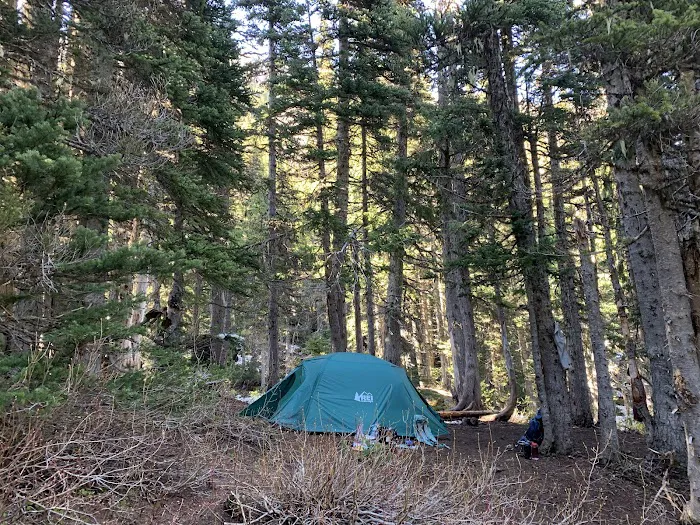 Camp Mystery Picture 9