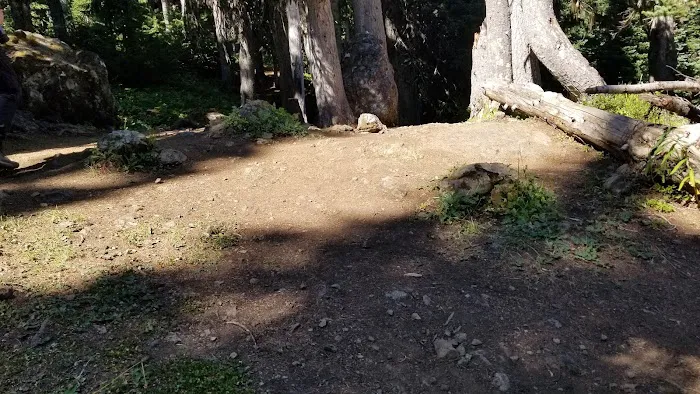 Camp Mystery Picture 8