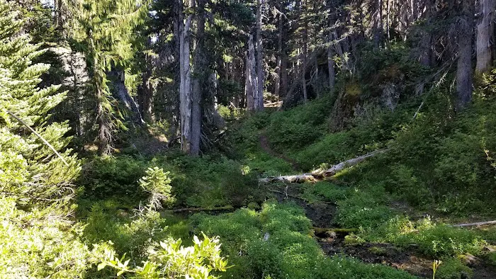 Camp Mystery Picture 1