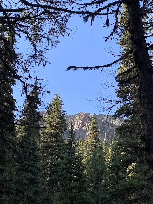 Camp Mystery Picture 10
