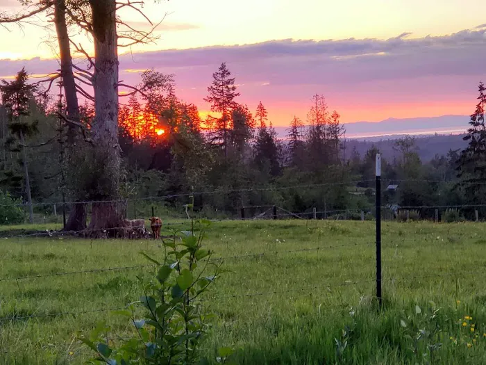 Sage Horse Camp Picture 5