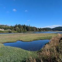Lower Oak Bay Campground ico