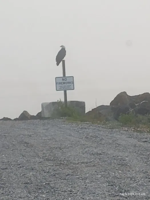 Lower Oak Bay Campground Picture 6
