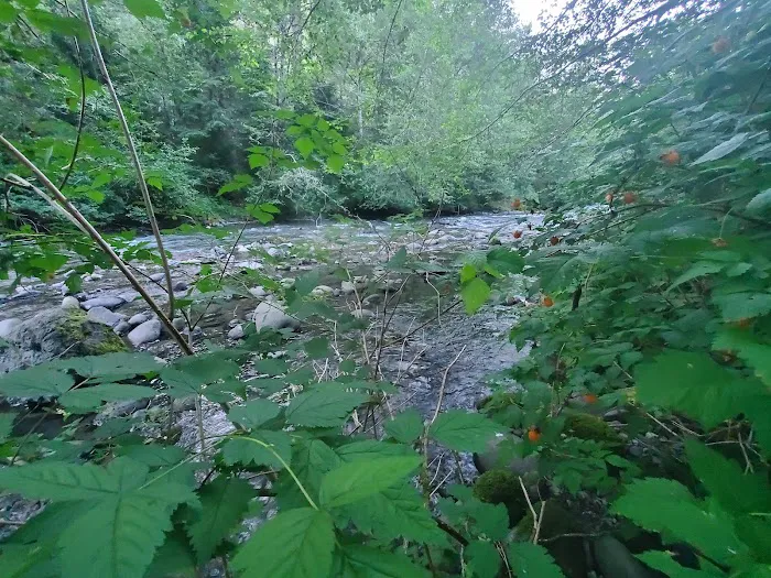 Dungeness Forks Campground Picture 2
