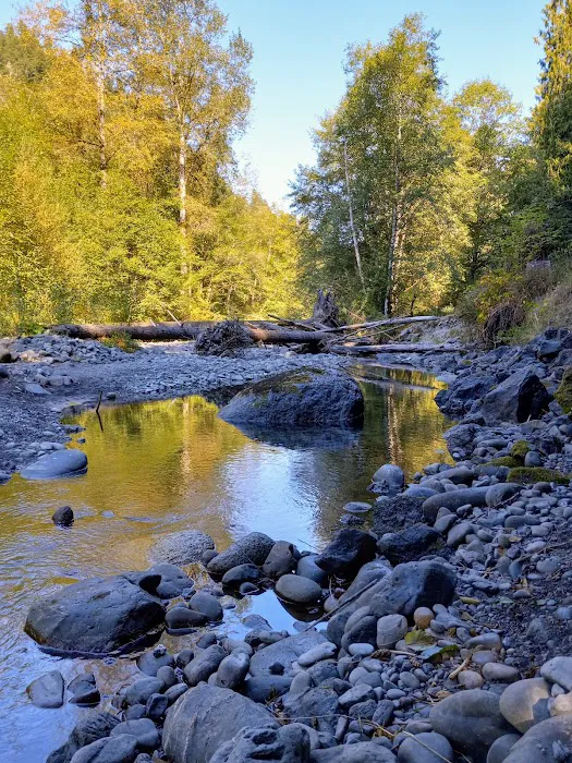 Dungeness Forks Campground Picture 1