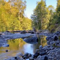 Dungeness Forks Campground ico