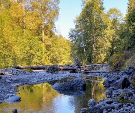 Dungeness Forks Campground