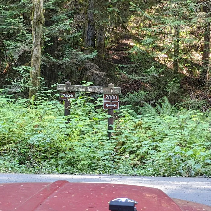 Dungeness Forks Campground Picture 8