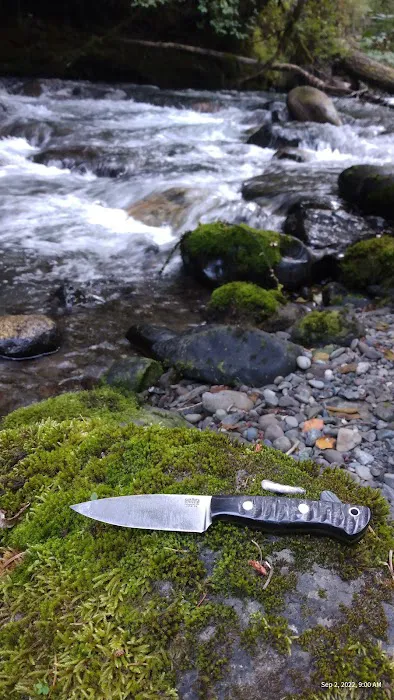 Dungeness Forks Campground Picture 9