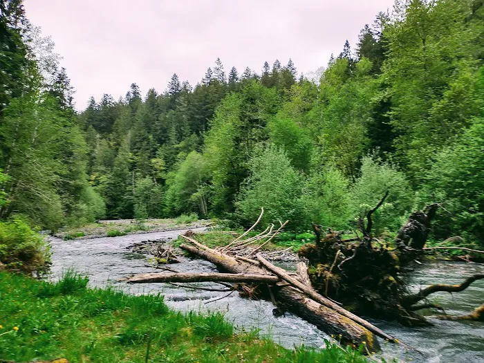 Dungeness Forks Campground Picture 4