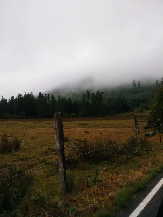 Dungeness Forks Campground Picture 6