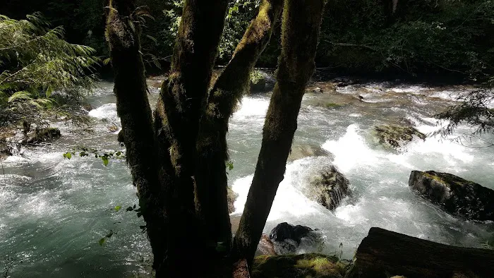 Dungeness Forks Campground Picture 10
