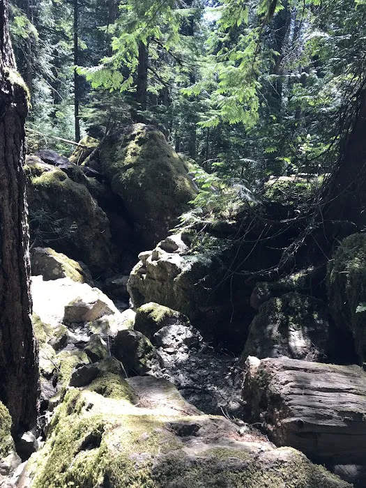 Lena Lake Campground Picture 2