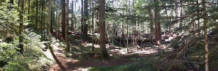 Lena Lake Campground Picture 9