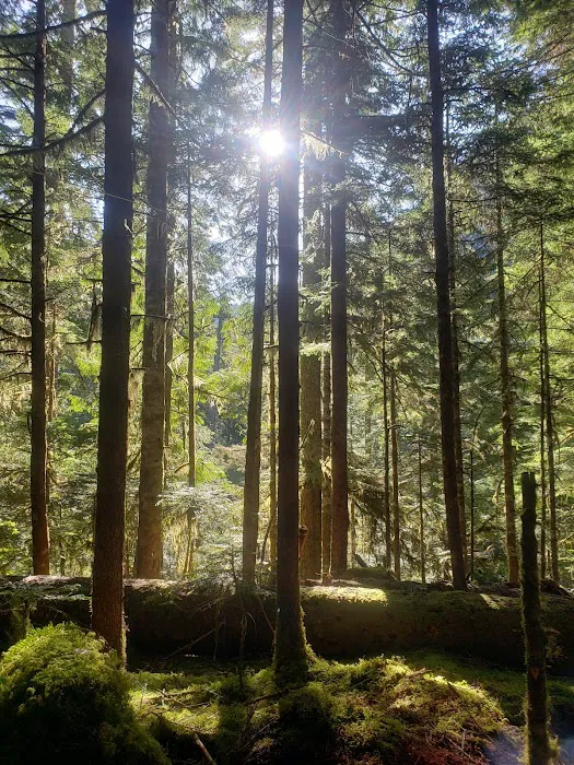 Lena Lake Campground Picture 7