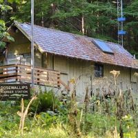 Dosewallips Campground ico