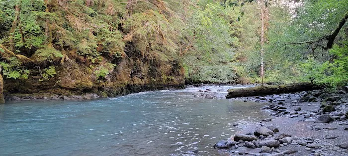 Dosewallips Campground Picture 2