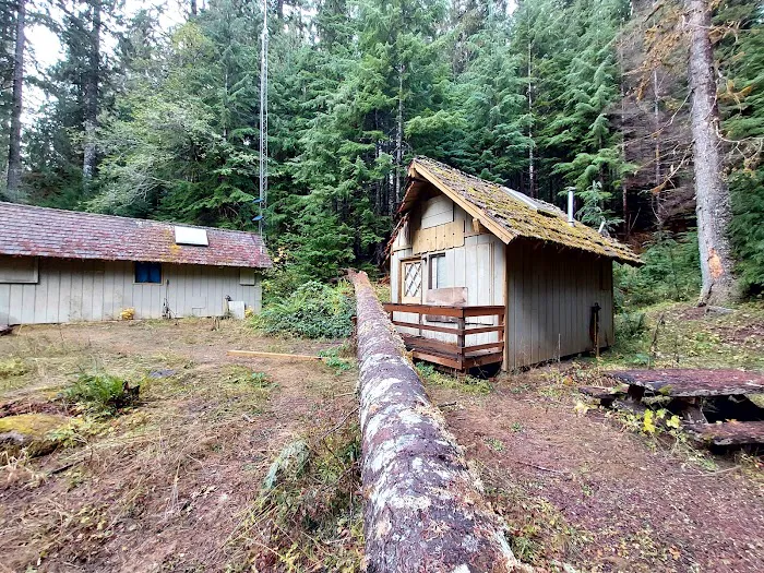 Dosewallips Campground Picture 6