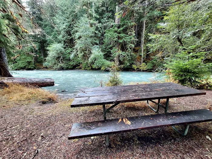 Dosewallips Campground Picture 7