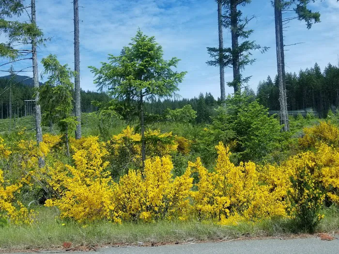 Hamma Hamma Campground Picture 7