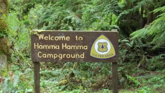 Hamma Hamma Campground Picture 6