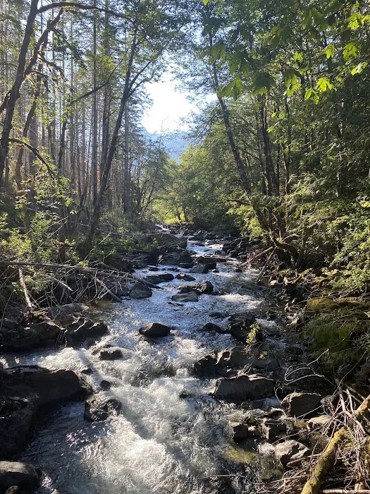 Hamma Hamma Campground Picture 8