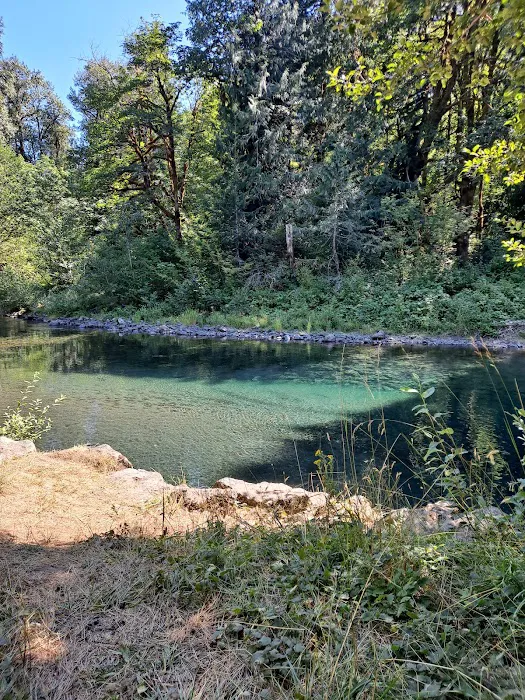 Hamma Hamma Campground Picture 4