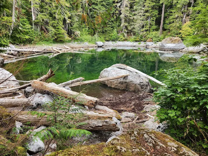 Hamma Hamma Campground Picture 9