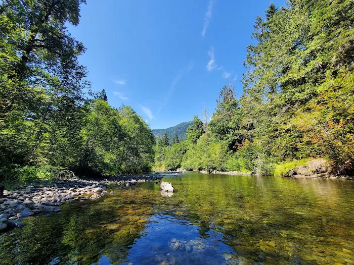 Hamma Hamma Campground Picture 10
