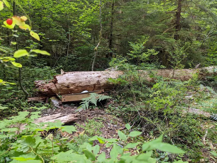 Camelot Village Picture 7