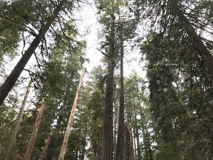 Camelot Village Picture 4