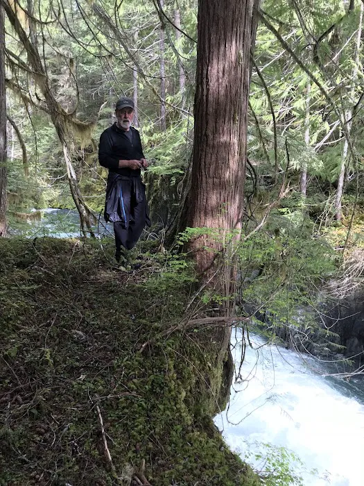 Camelot Village Picture 3