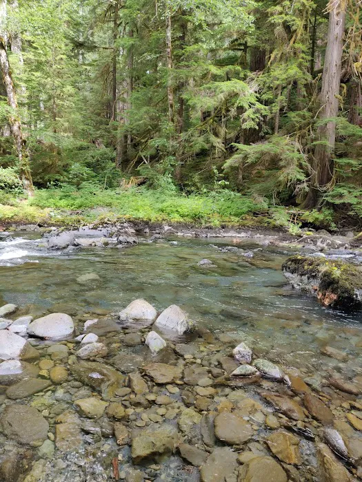 Camelot Village Picture 6