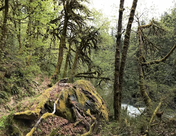 Camelot Village Picture 2