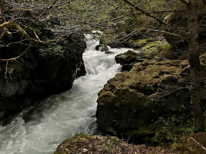 Camelot Village Picture 8