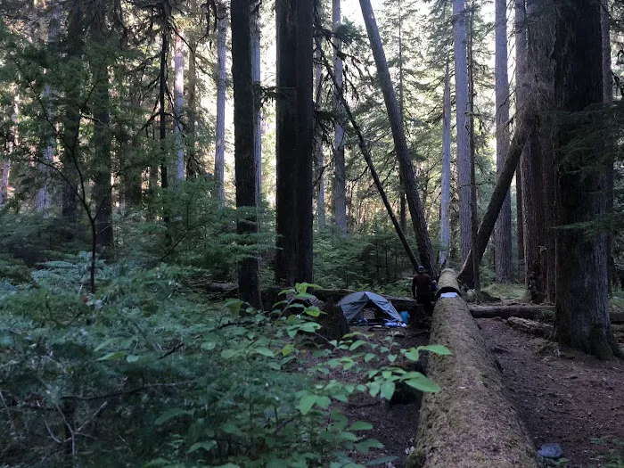 Camelot Village Picture 9