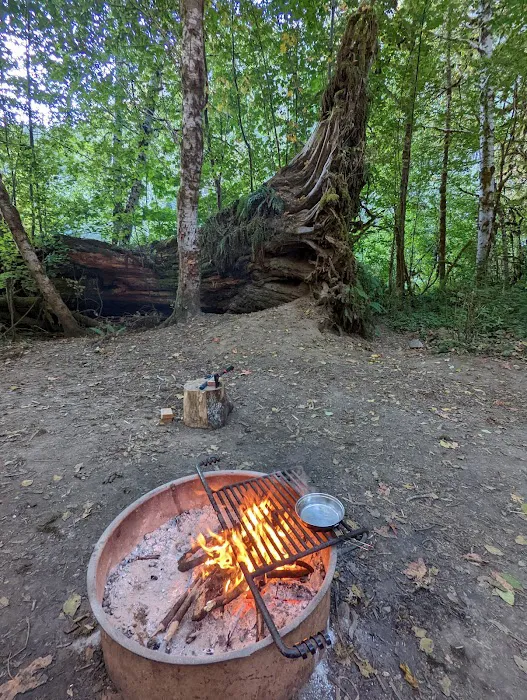 Lena Creek Campground Picture 4
