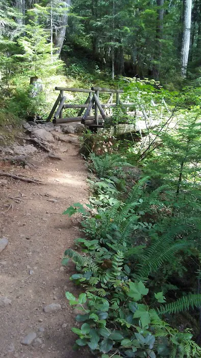 Lena Creek Campground Picture 9