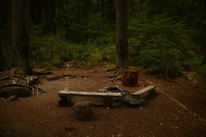 Dose Forks Picture 2