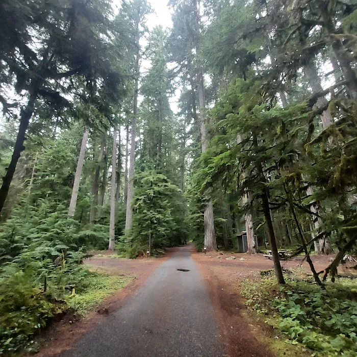 The Dalles Campground Picture 2