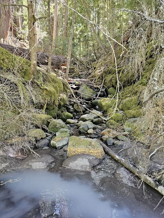 Ranger Creek Campground Picture 3