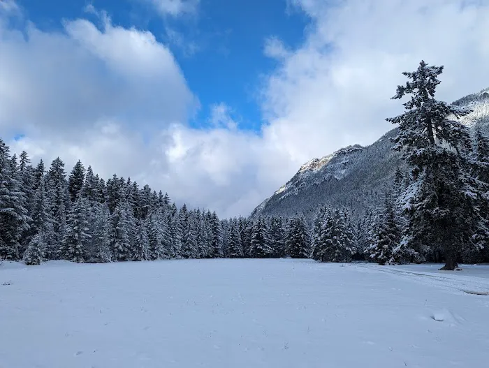 Ranger Creek Campground Picture 6
