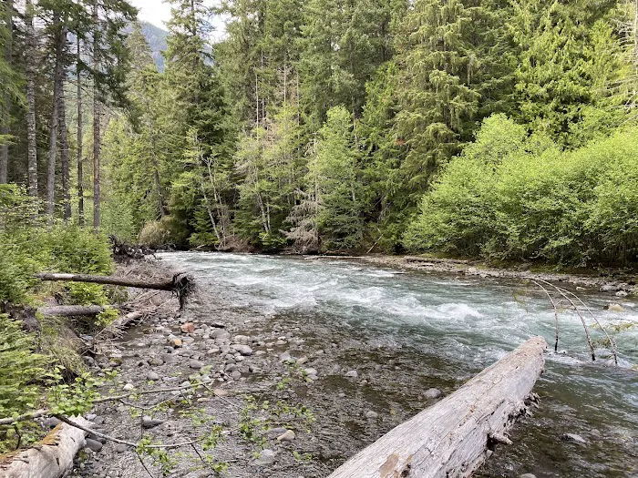 Ranger Creek Campground Picture 8