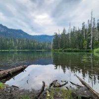 Lake Eleanor Camp ico