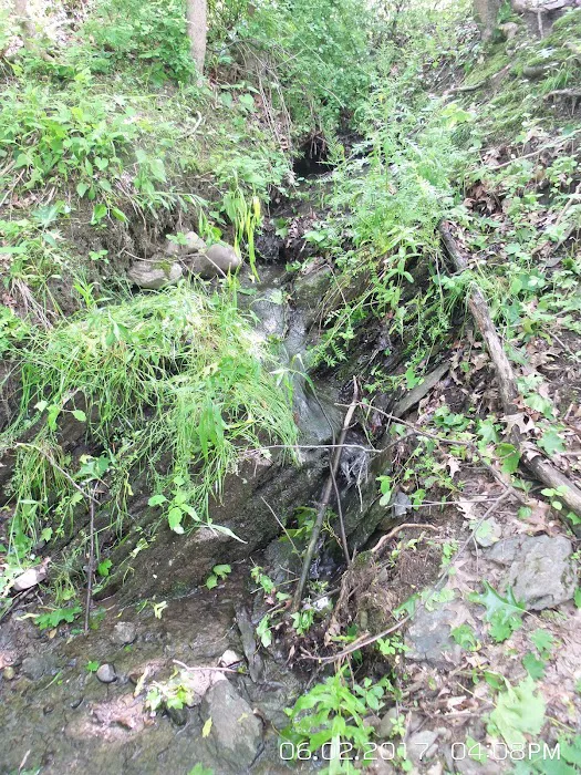 Manor Hill Mobile Home Park Picture 2