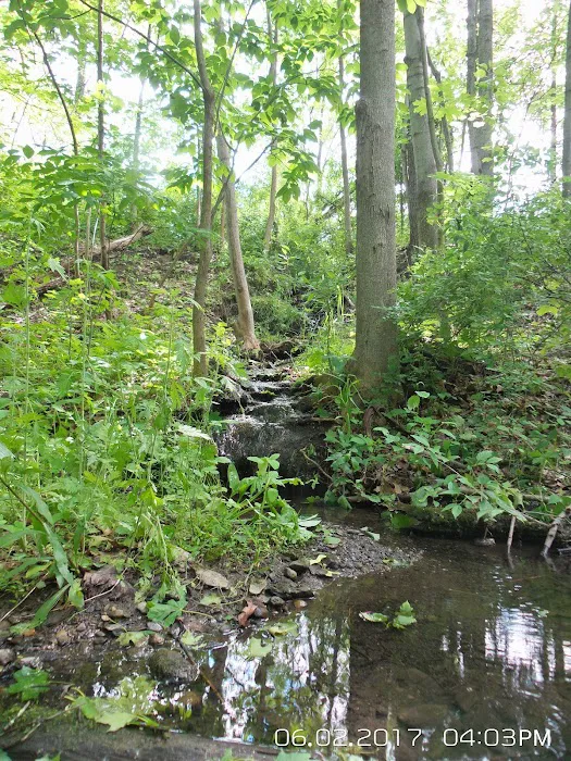 Manor Hill Mobile Home Park Picture 4