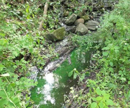 Manor Hill Mobile Home Park