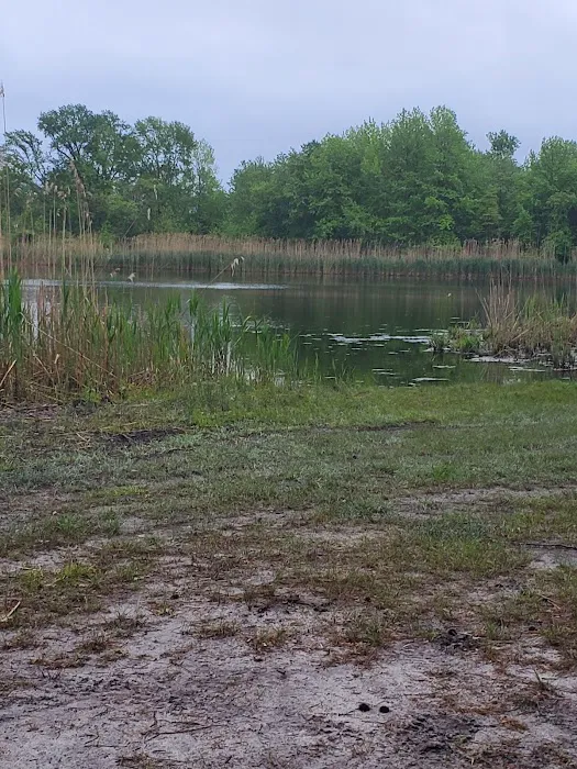 Fawn Lake Village Picture 4